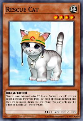 Chat Sauveteur