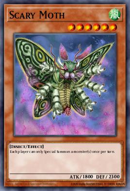 Papillon du Chaos