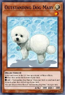 Chien Mary Exceptionnel