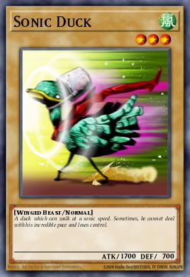 Canard Supersonique